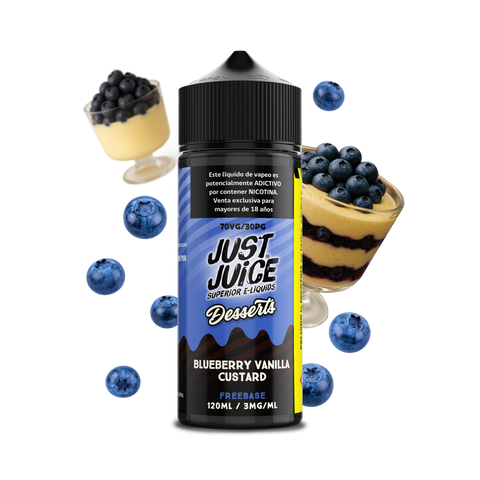 Just Juice Dessert Blueberry Vanilla Custard 120ml